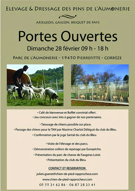 communique de presse web 2