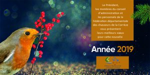 recto_carte_voeux_2019