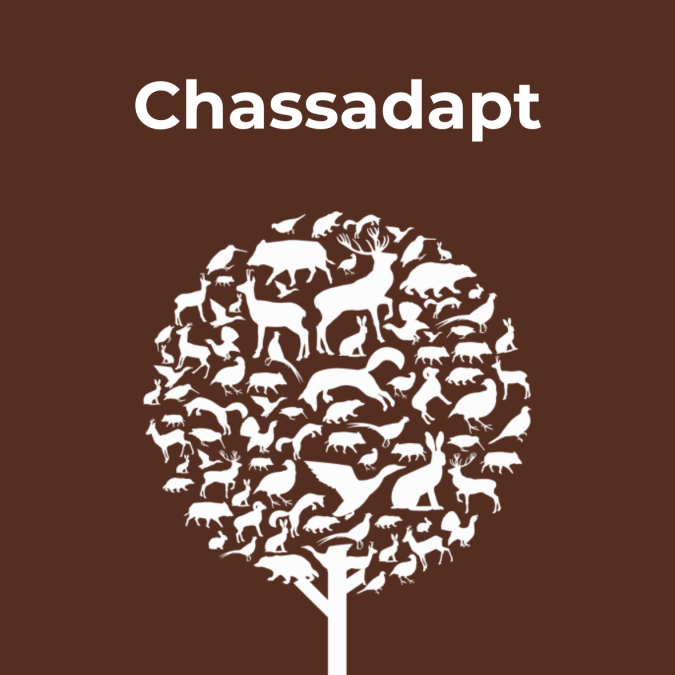Chassadapt