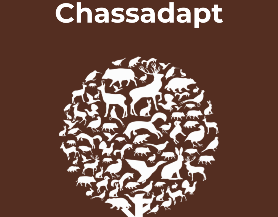 Chassadapt